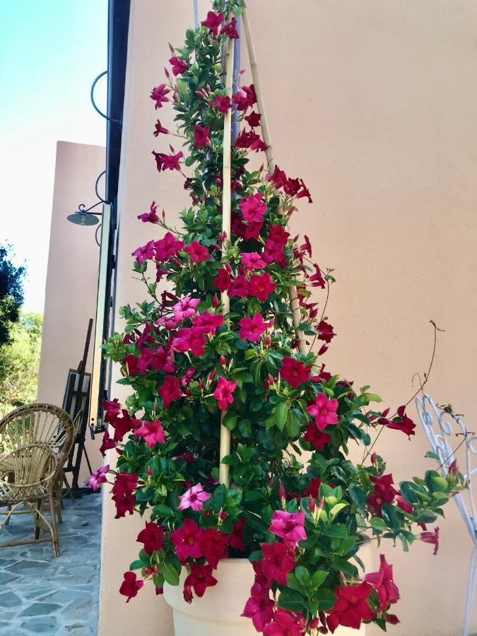 Le 25 Tartarughe Bed & Breakfast Santa Teresa Gallura Exterior photo